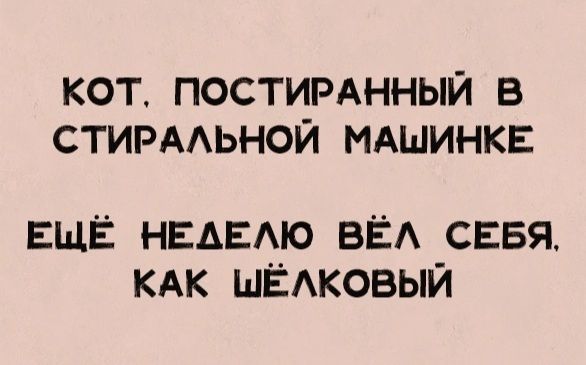 КОТ ПОСТИРАННЫЙ В СТИРААЬНОЙ МАШИНКЕ ЕЩЁ НЕАЕАЮ ВЁА СЕБЯ КАК ШЁАКОВЫЙ