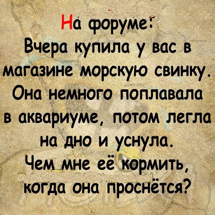 На форуМеГ Вчера купила у вас в магазине морскую свинку Она немного поплавала в акварИуМе потом легла на дно и уснула йЧем мне еёкермить когда она проснётся