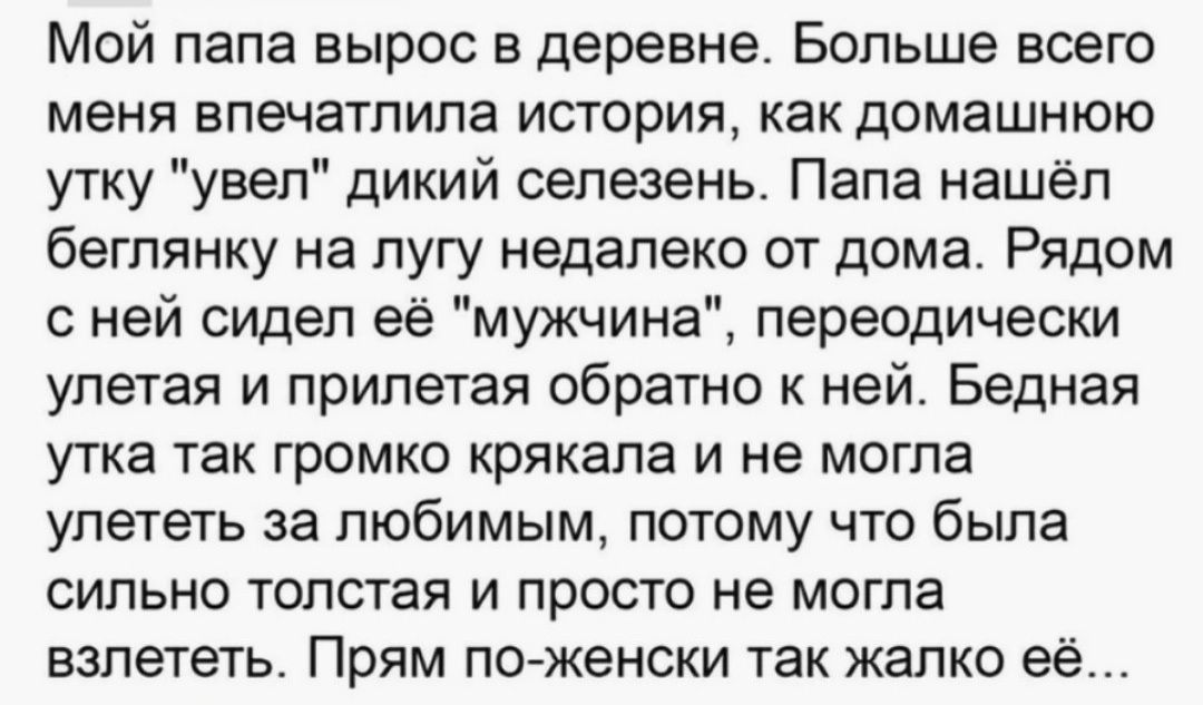 Мой папа вырос в деревне Больше всего меня впечатлила ИСТОРИЯ КЗКДОМЗШНЮЮ утку увел дикий сепезень Папа нашёл бегпянку на лугу недалеко от дома Рядом с ней сидел её мужчина переодически упетая и припетая обратно к ней Бедная утка так громко крякапа и не могла улететь за любимым потому что была сильно толстая и просто не могла взлететь Прям по женски так жалко её