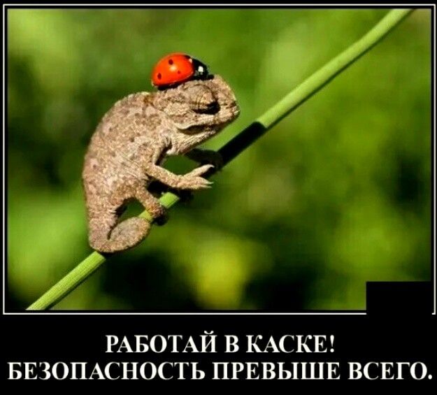 РАБОТАЙ В КАСКЕ БЕЗОПАСНОСТЬ ПРЕВЫШЕ ВСЕГО