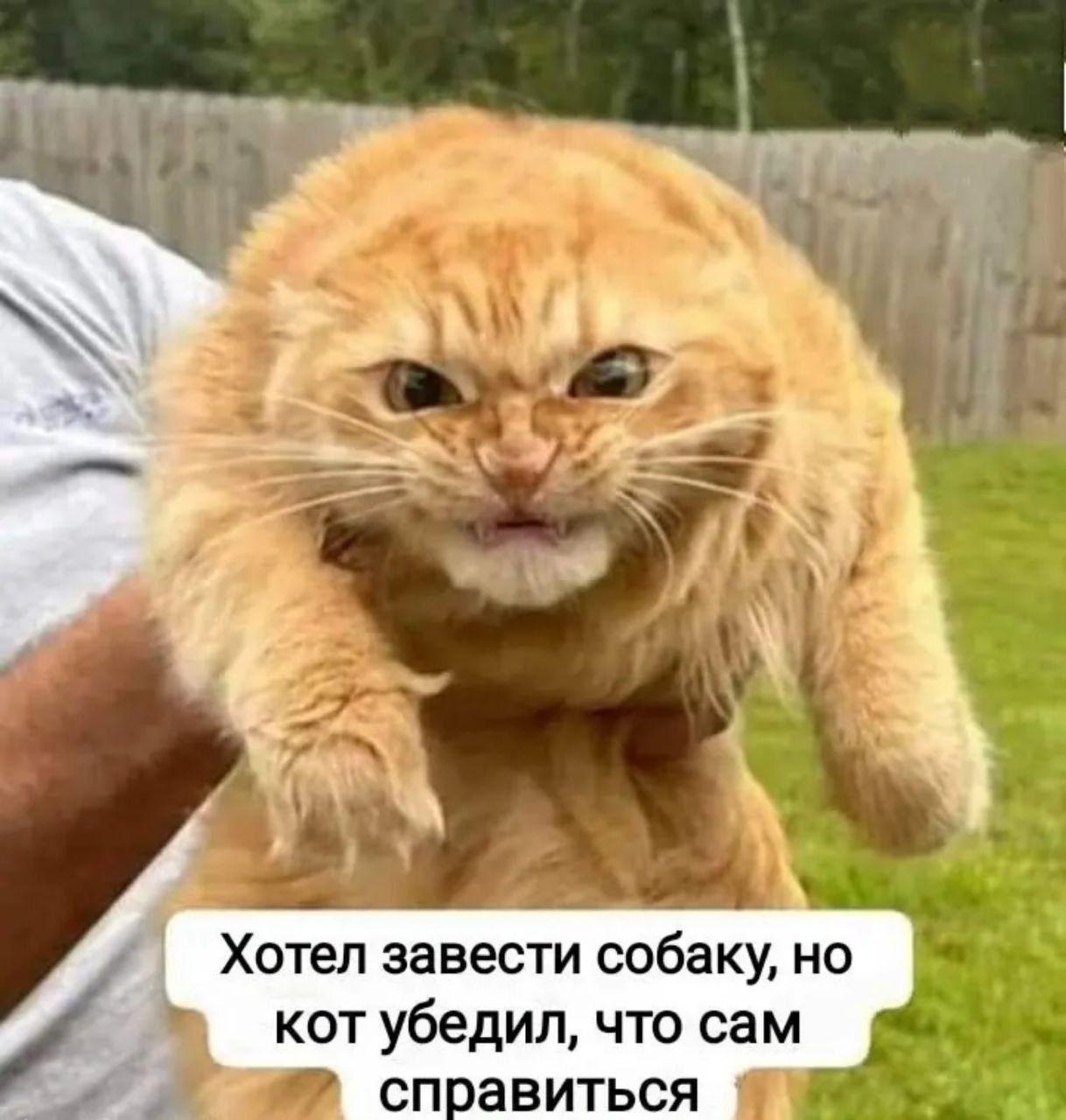 котубедилчтосам справиться