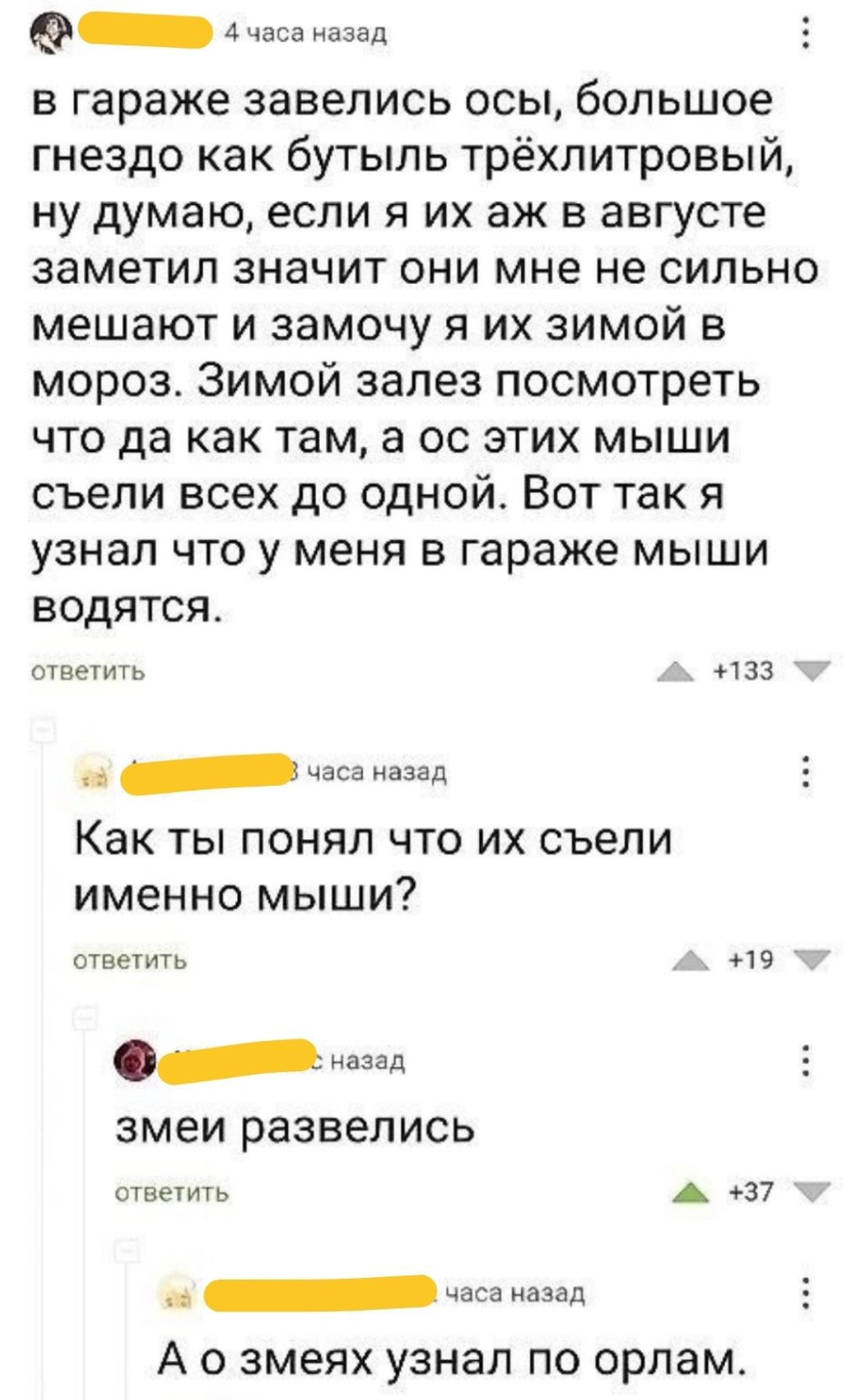 4аид в гараже завелись осы большое гнездо как бутыль трёхпитровый ну думаю если я их аж в августе заметил значит они мне не сильно мешают и замочу я их зимой в мороз Зимой залез посмотреть что да как там а ос этих мыши съели всех до одной Вот так я узнал что у меня в гараже мыши ВОДЯТСЯ пветмь 133 _ ч назад Как ты понял что их съепи именно мыши ответить _ змеи развелись пеши А нп а_чжамачвд А о зм