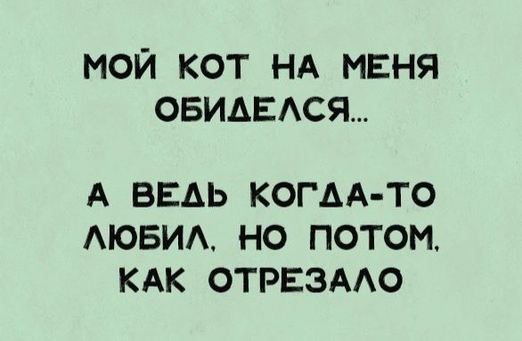 МОЙ КОТ НА МЕНЯ ОБИАЕАСЯ А ВЕАЬ КОГ АА ТО АЮБИА НО ПОТОМ КАК ОТРЕЭААО