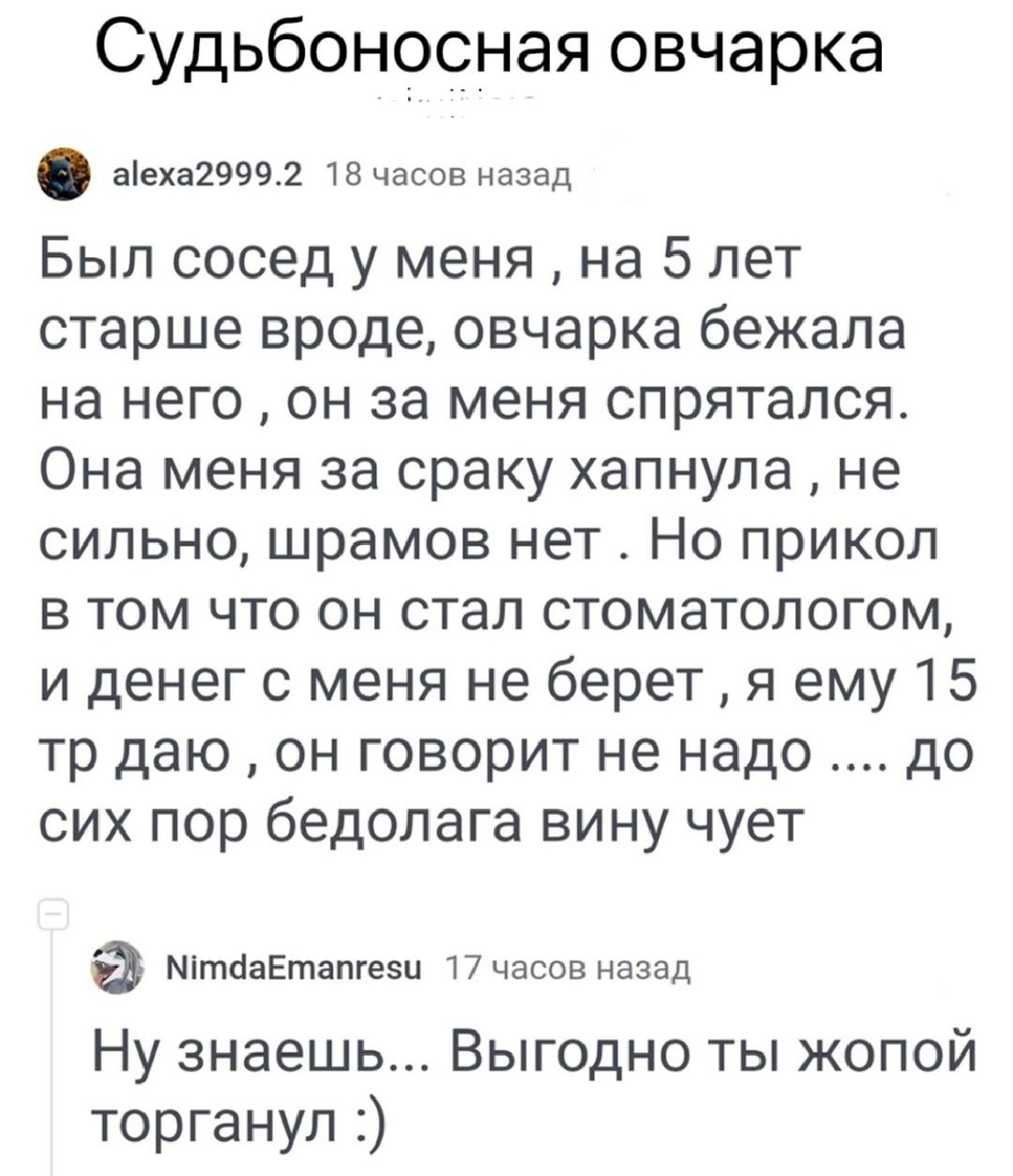 Судьбоносная овчарка аеха29992 тз часов назад Бып сосед у меня на 5 лет старше вроде овчарка бежала на него он за меня спрятался Она меня за сраку хапнула не сильно шрамов нет Но прикол в том что он стал стоматологом и денег с меня не берет я ему 15 тр даю он говорит не надо до сих пор бедолага вину чует МітааЕтапгеэи Пчасов назад Ну знаешь Выгодно ты жопой торгануп