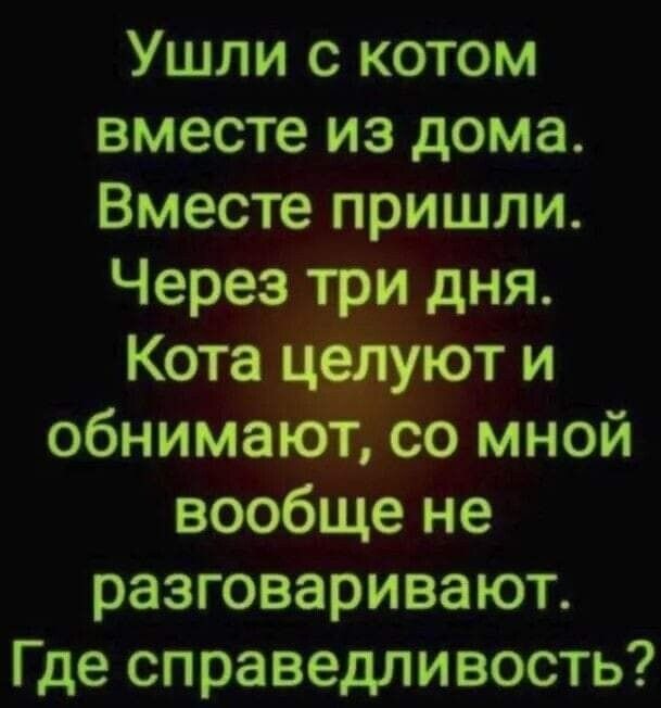 Ушли с котом вместе из дома Вместе пришли Через три дня Кота _ іют и обнима со мной вообще не разговаривают Где справедливость