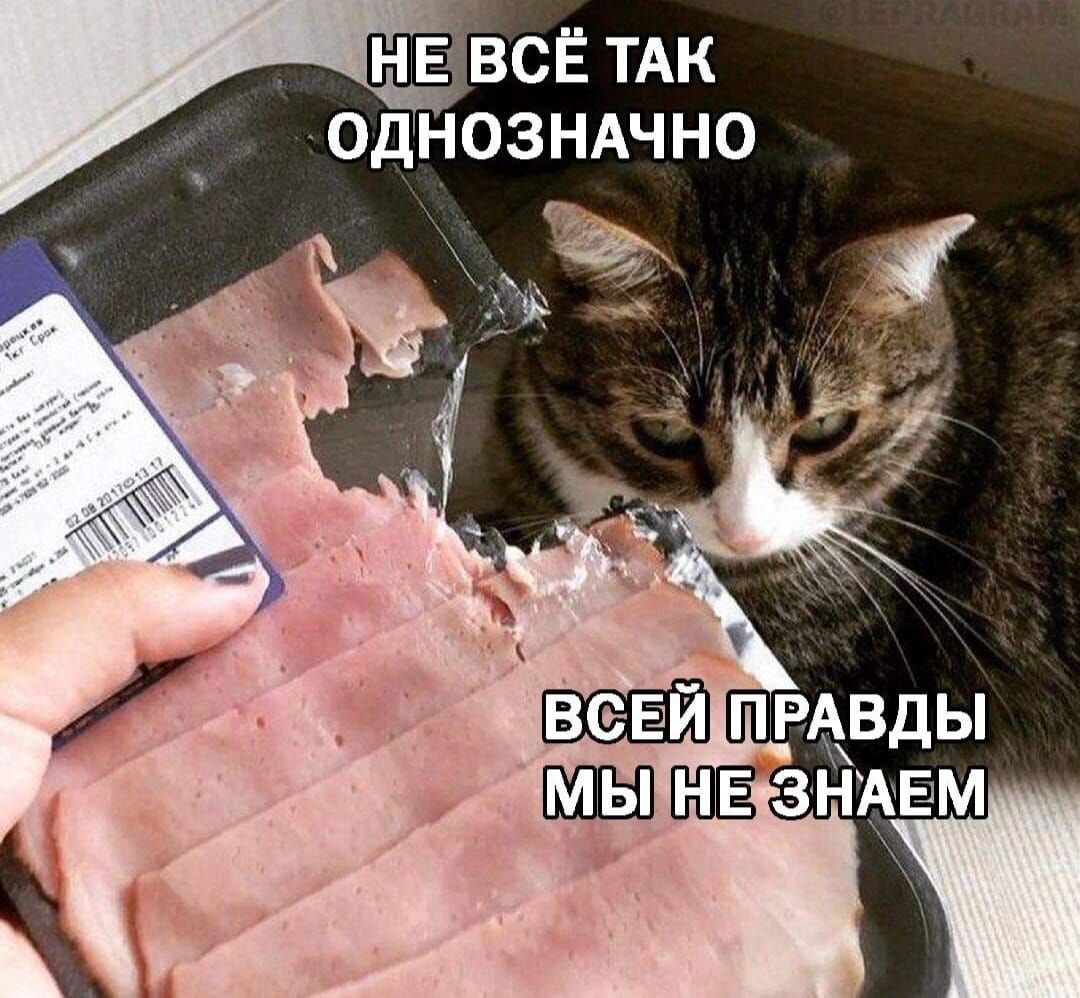 всё ТАК однозндчно