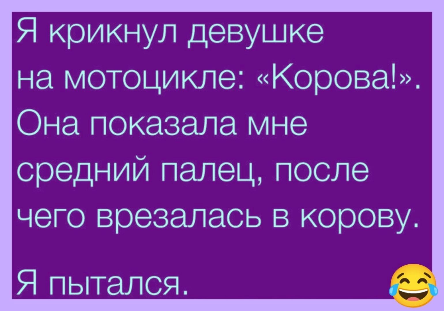 Я крикнул девушке на мотоцикле Корова1 Она показала мне средний палец после чего врезалась в корову Я пытался