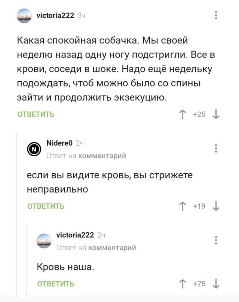 пашни Какая спокойная собачка Мы своей неделю назад одну ногу подстригли Все в крови соседи в шоке Надо ещё недельку подождать чтоб можно было со спины зайти и продолжить экзекуцию отвпить Т А 1 мыша ои если вы видите кровь вы стрижете неправильно ты т цч 1 чс1огі221 ммшм Кровь наша отвпить т