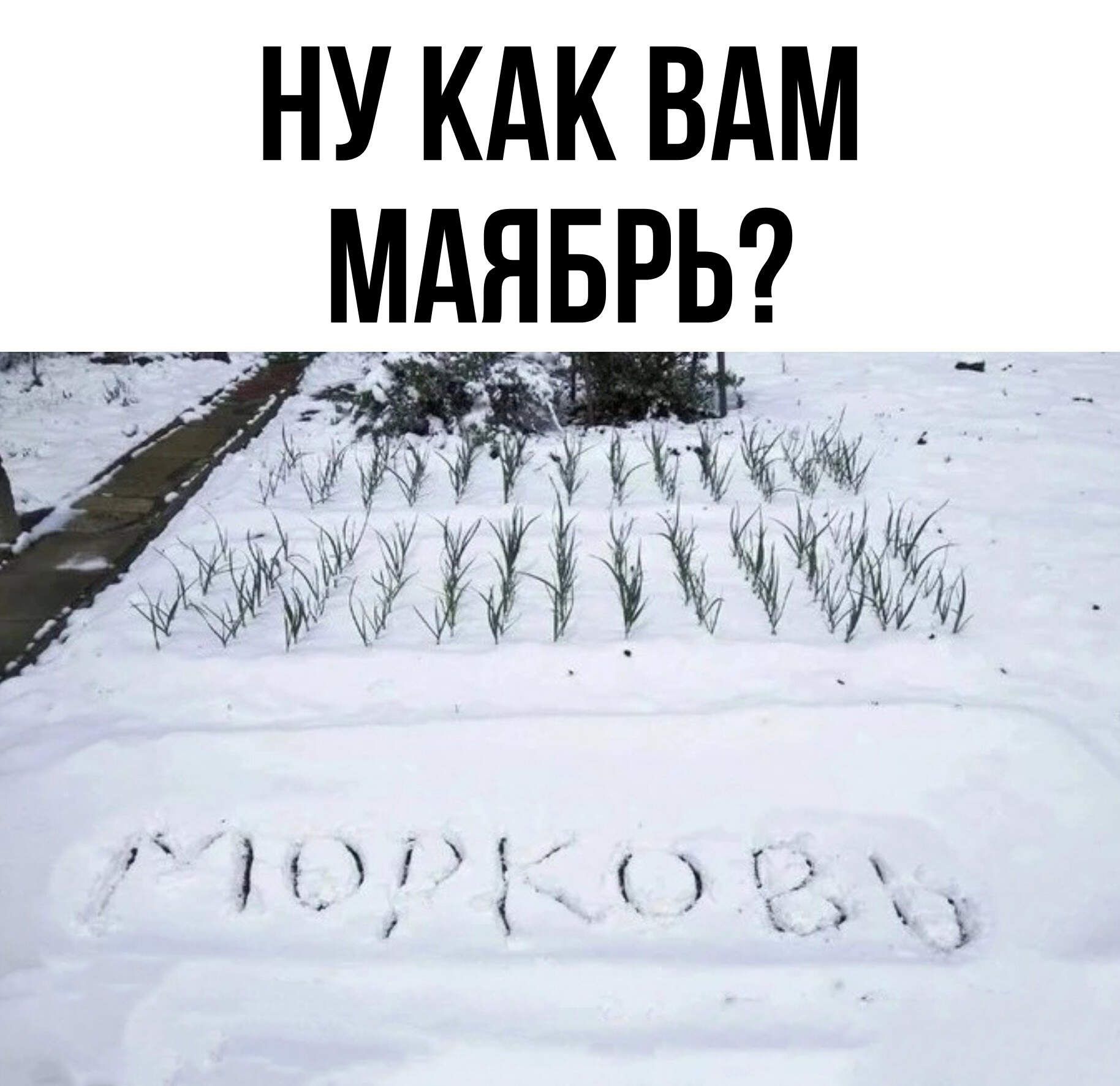 НУ КАК ВАМ МАЯБРЬ 30 ЖЖ чн эщщэ д_