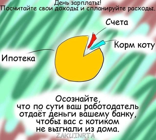 День зар пл Иорм коту Ипотека Осознайте что пр сути вцш работа отель отдает СНЬГИ вашему ЦНКУ что ь вас с котиком А не выгнали Из дома дед