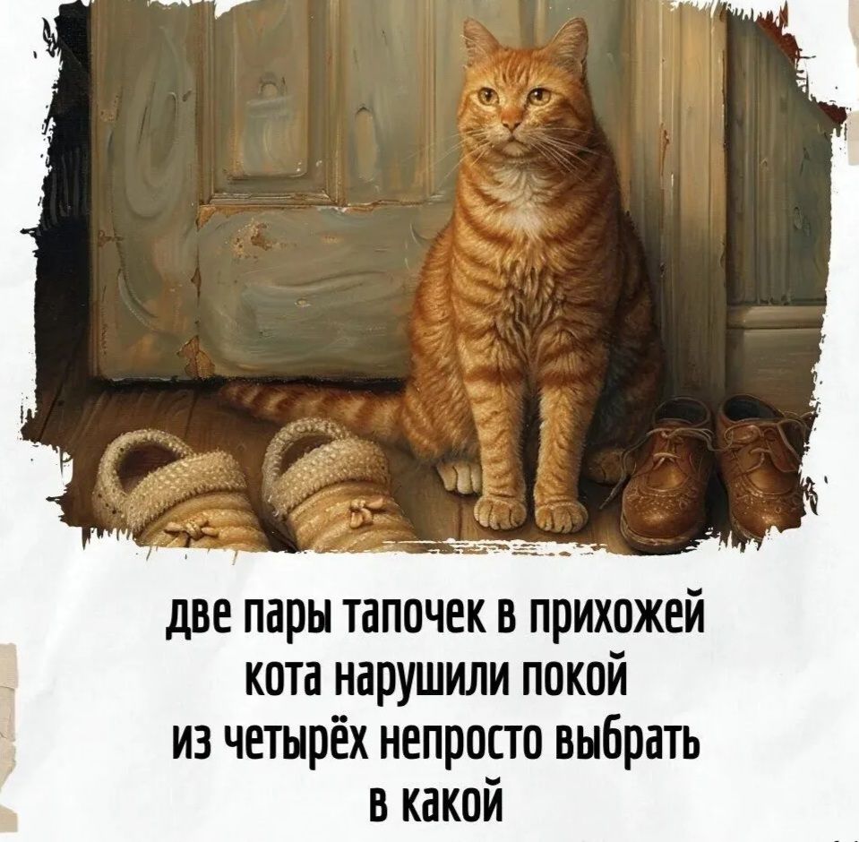 две пары таппчек в прихожей кота нарушили покой из четырёх непросто выбрать в какой