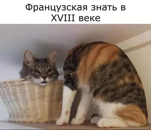 Французская знать в ХП1 веке