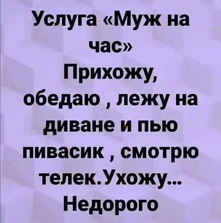 Услуга Муж на час Прихожу обедаю лежу на диване и пью пивасик смотрю телекУхожу Недорого