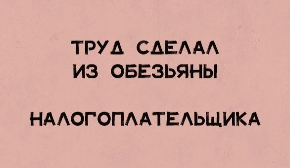 ТРУД САЕЛАЛ ИЗ ОБЕЗЬЯНЫ НАЛОГОПЛАТЕЛЬЩИКА