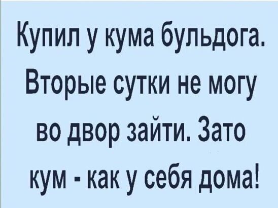 Купил у кума бульдога Вторые сутки не могу во двор зайти Зато кум как у себя дома