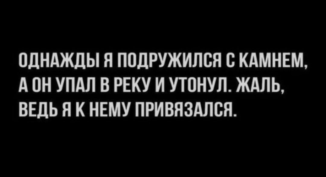 ОДНАЖДЫ Я ПОДРУЖИЛСЯ С КАМНЕМ АОН УПАЛ В РЕКУ И УТОНУЛ ЖАЛЬ ВЕДЬ Я К НЕМУ ПРИВЯЗАЛСЯ