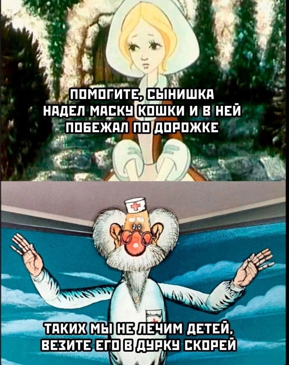 днпкн СКОРЕЙ