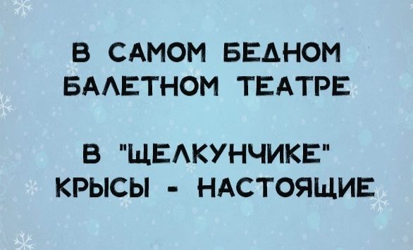 В САМОМ БЕАНОМ БАЛЕТНОМ ТЕАТРЕ В ЩЕЛКУНЧИКЕ КРЫСЫ НАСТОЯЩИЕ