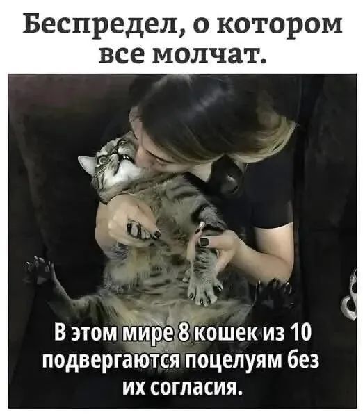 Беспредел о котором все молчат В этоммире 8 кошек из 10 подвергаются поцелуям без их согласия