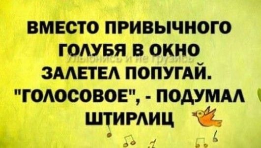 ВМЕСТО ПРИВЫЧНОГО ГОЛУБЯ В ОКНО ЗАЛЕТЕЛ ПОПУГАЙ ГОЛОСОВОЕ ПОДУМАЛ ШТИРЛИЦ ё