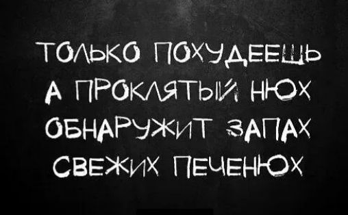 ТОЛЬКО ПОХУДЕЕЩЬ ПРОКЛЯТЫЙ НЮХ ОБНАРУЖИТ ЗАПАХ СВЕЖИХ ПЕЧЕННОХ