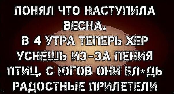 Понял что наступила усней итиц,  они л д радостные прилетели