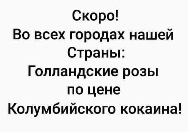 Скоро! Во всех городах нашей страны: голландские розы по цене колумбийского кокаина!