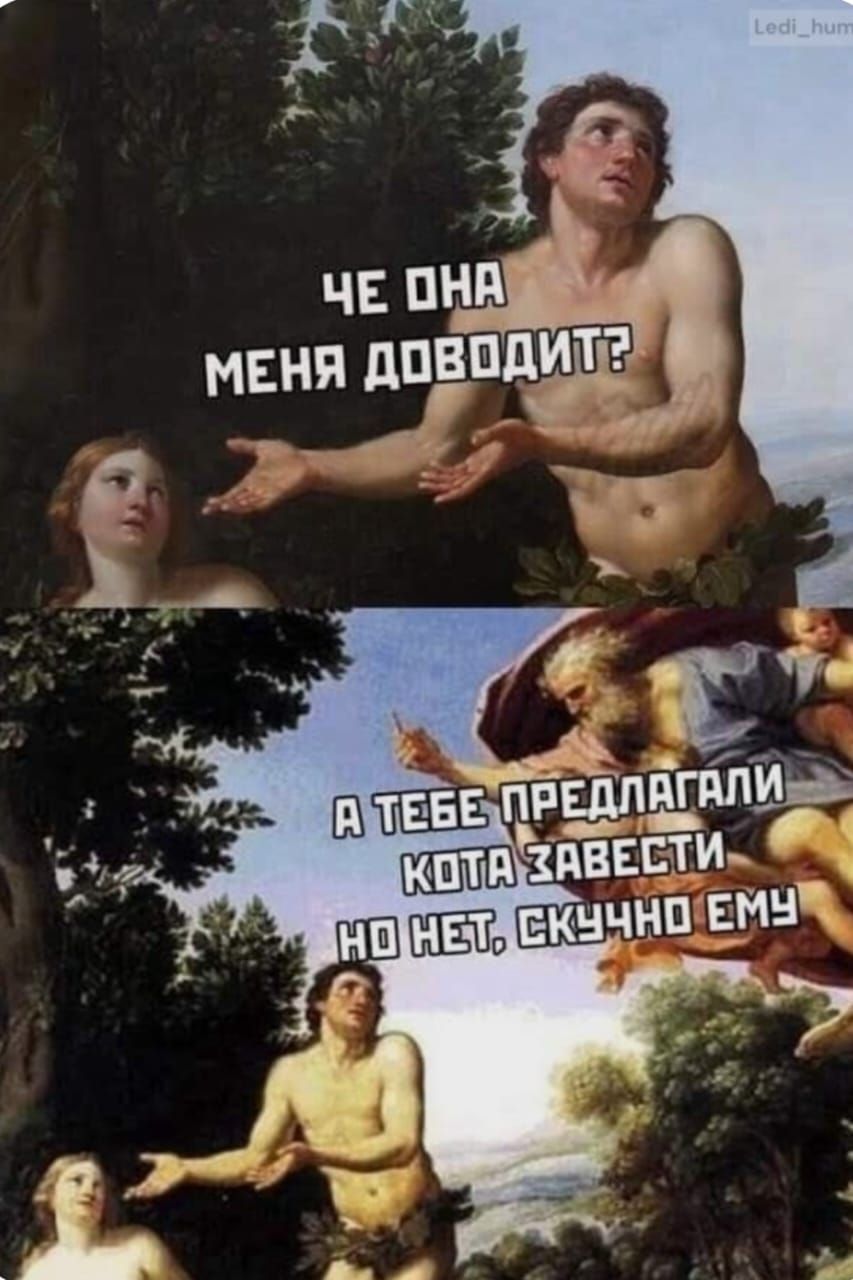 Че она меня доводит?
А тебе предлагали кота завести, но нет, скучно ему.