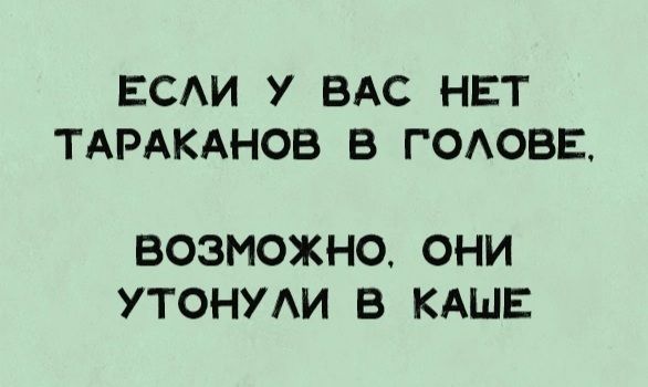 ЕСЛИ У ВАС НЕТ ТАРАКАНОВ В ГОЛОВЕ, ВОЗМОЖНО, ОНИ УТОНУЛИ В КАШЕ