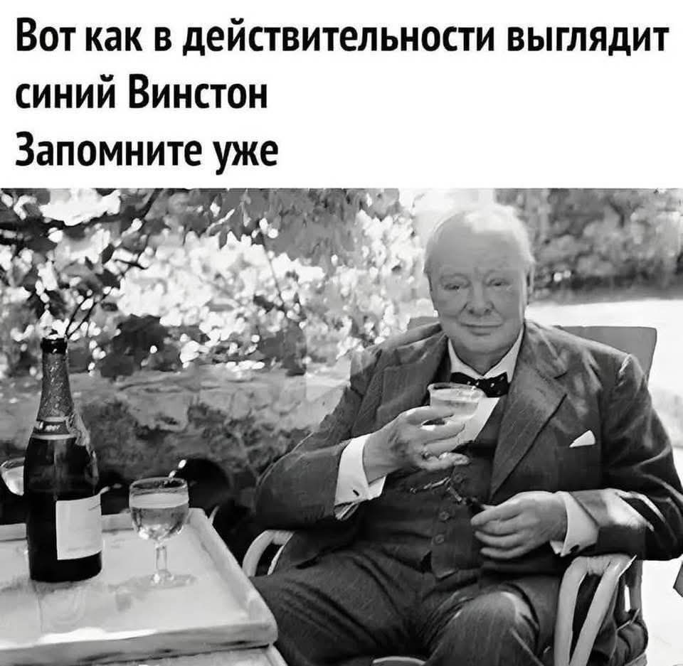 Вот как в действительности выглядит синий Винстон Запомните уже