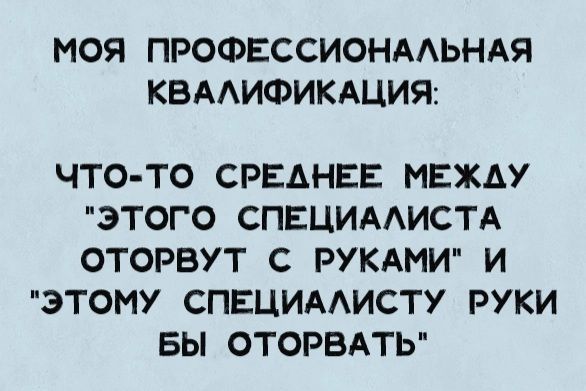 МОЯ ПРОФЕССИОНАЛЬНАЯ КВАЛИФИКАЦИЯ:
ЧТО-ТО СРЕДНЕЕ МЕЖДУ 