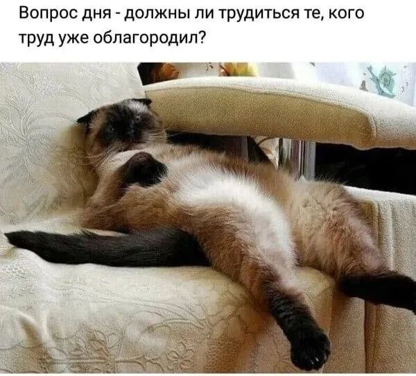 Вопрос дня - должны ли трудиться те, кого труд уже облегчил?