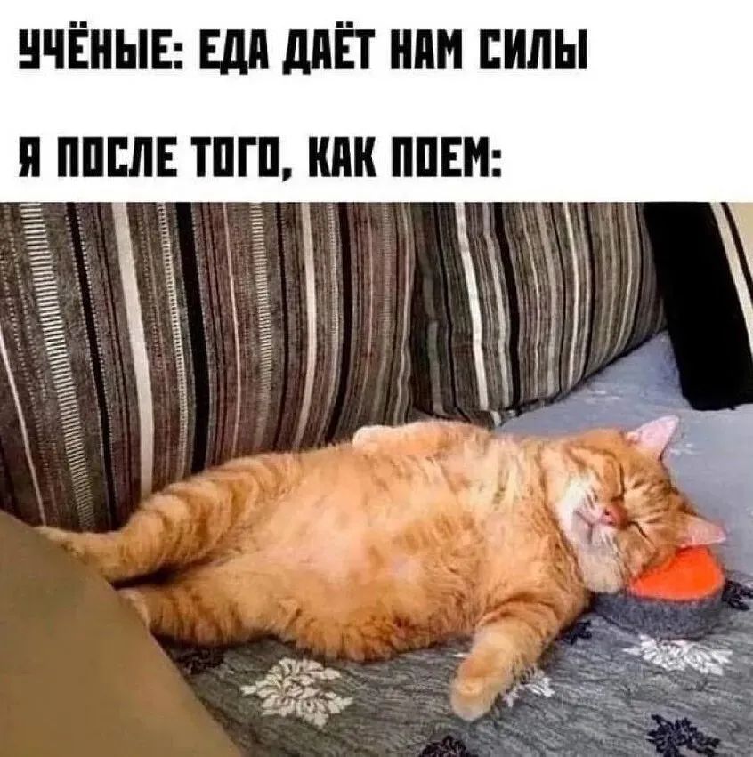 УЧЁНЫЕ: ЕДА ДАЁТ НАМ СИЛЫ
Я ПОСЛЕ ТОГО, КАК ПОЕМ: