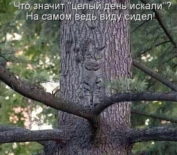 Что значит 