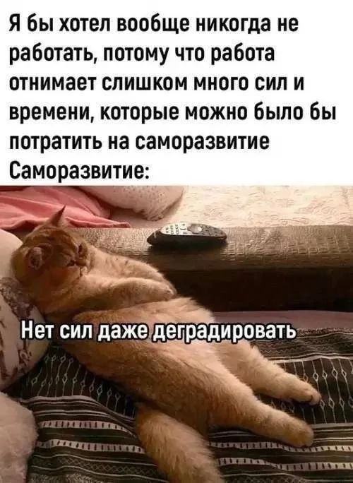 Я бы хотел вообще никогда не работать, потому что работа отнимает слишком много сил и времени, которые можно было бы потратить на саморазвитие. Саморазвитие: Нет сил даже деградировать.
