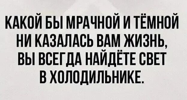 КАКОЙ БЫ МРАЧНОЙ И ТЁМНОЙ НИ КАЗАЛАСЬ ВАМ ЖИЗНЬ, ВЫ ВСЕГДА НАЙДЁТЕ СВЕТ В ХОЛОДИЛЬНИКЕ.