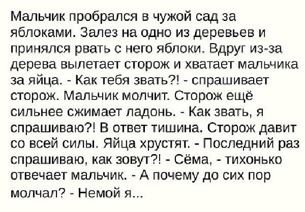 Мальчик пробрался в чужой сад за яблоками. Забрался на одно из деревьев и принялся рвать с него яблоки. Вдруг из-за дерева вылетает сторож и хватает мальчика за яйца. - Как тебя звать?! - спрашивает сторож. Мальчик молчит. Сторож ещё сильнее сжимает ладонь. - Как звать, я спрашиваю?! В ответ тишина. Сторож давит со всей силы. Яйца хрустят. - Последний раз спрашиваю, как зовут?! - Сёма, - тихонько отвечает мальчик. - А почему до сих пор молчал? - Немой я...