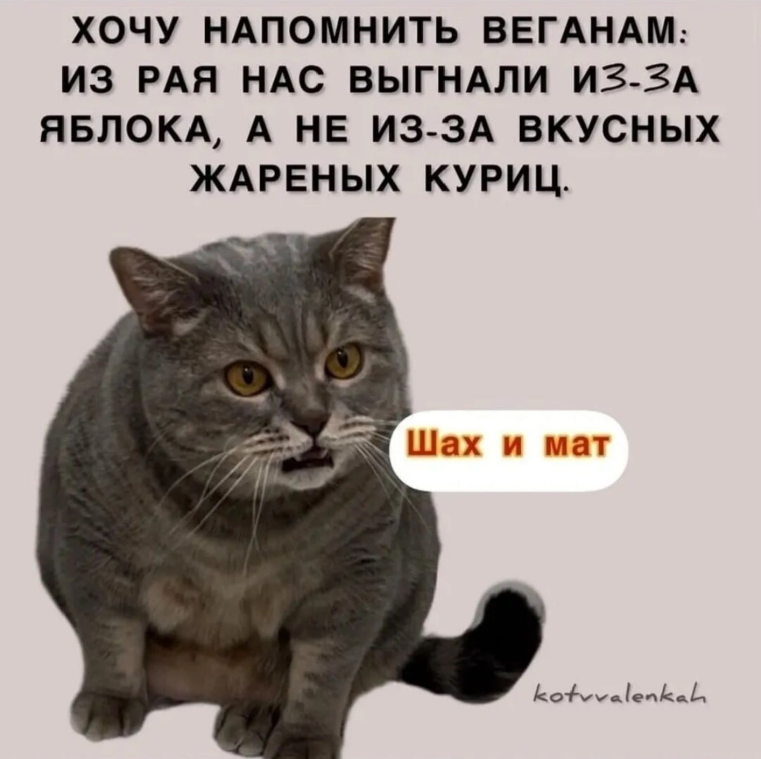 ХОЧУ НАПОМНИТЬ ВЕГАНАМ: ИЗ РАЯ НАС ВЫГНАЛИ ИЗ-ЗА ЯБЛОКА, А НЕ ИЗ-ЗА ВКУСНЫХ ЖАРЕНЫХ КУРИЦ.