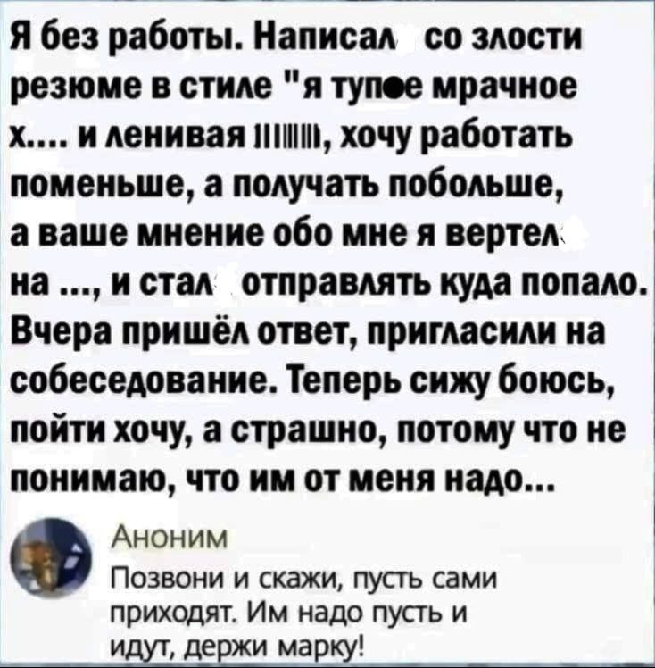 Я без работы. Написал со злости резюме в стиле 