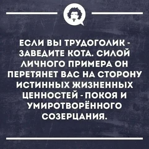 ЕСЛИ ВЫ ТРУДОГОЛИК - ЗАВЕДИТЕ КОТА. СИЛОЙ ЛИЧНОГО ПРИМЕРА ОН ПЕРЕТЯНЕТ ВАС НА СТОРОНУ ИСТИННЫХ ЖИЗНЕННЫХ ЦЕННОСТЕЙ - ПОКОЯ И УМИРОТВОРЁННОГО СОЗЕРЦАНИЯ.