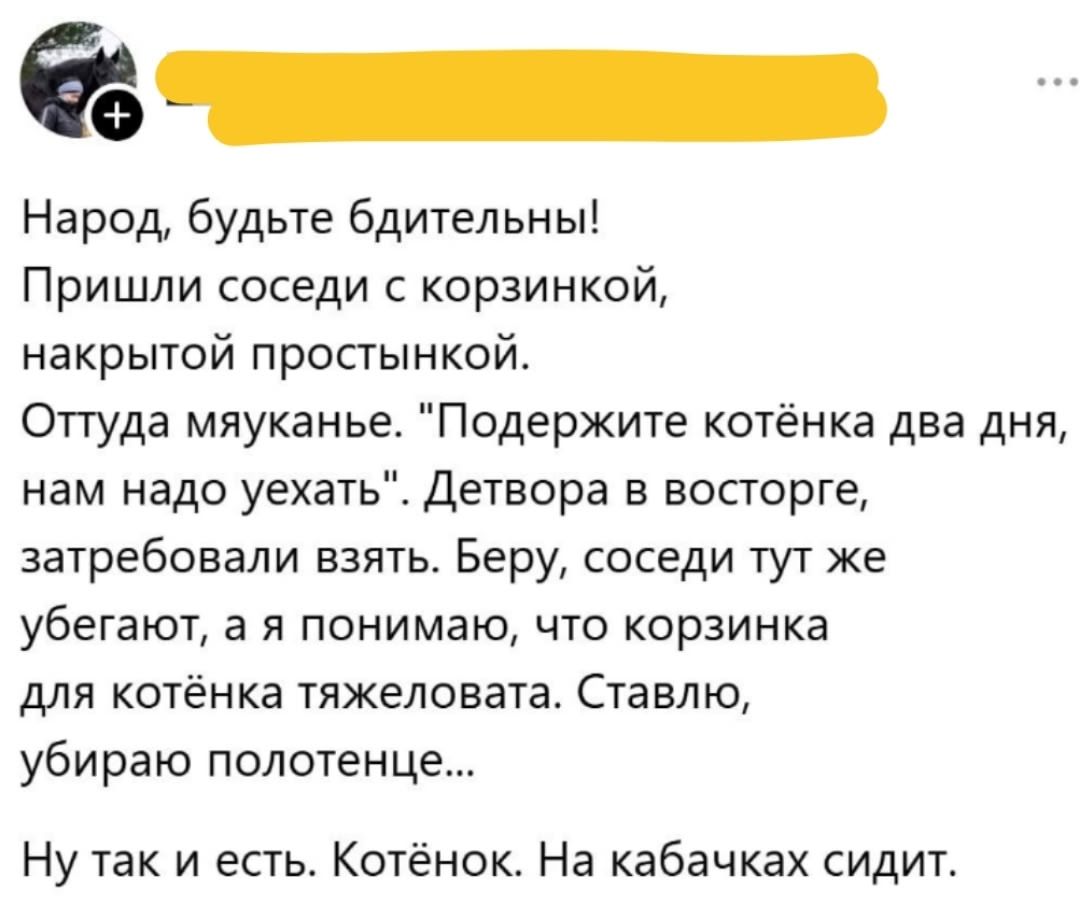 Народ, будьте бдительны! Пришли соседи с корзинкой, накрытой простынкой. Оттуда мяуканье. 