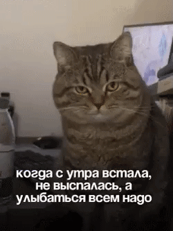 когда с утра встала, не выспалась, а улыбаться всем надо