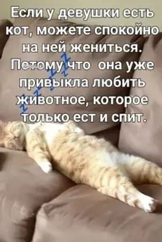 Если у девушки есть кот, можете спокойно на ней жениться. Потому что она уже привыкла любить животное, которое только ест и спит.