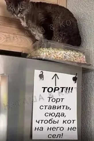 ТОРТ!!! Торт ставить сюда, чтобы кот на него не сел!