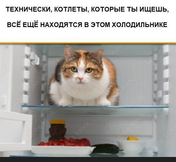 ТЕХНИЧЕСКИ, КОТЛЕТЫ, КОТОРЫЕ ТЫ ИЩЕШЬ, ВСЁ ЕЩЁ НАХОДЯТСЯ В ЭТОМ ХОЛОДИЛЬНИКЕ
