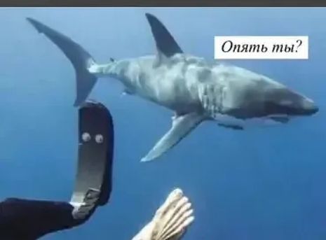 Опять ты?