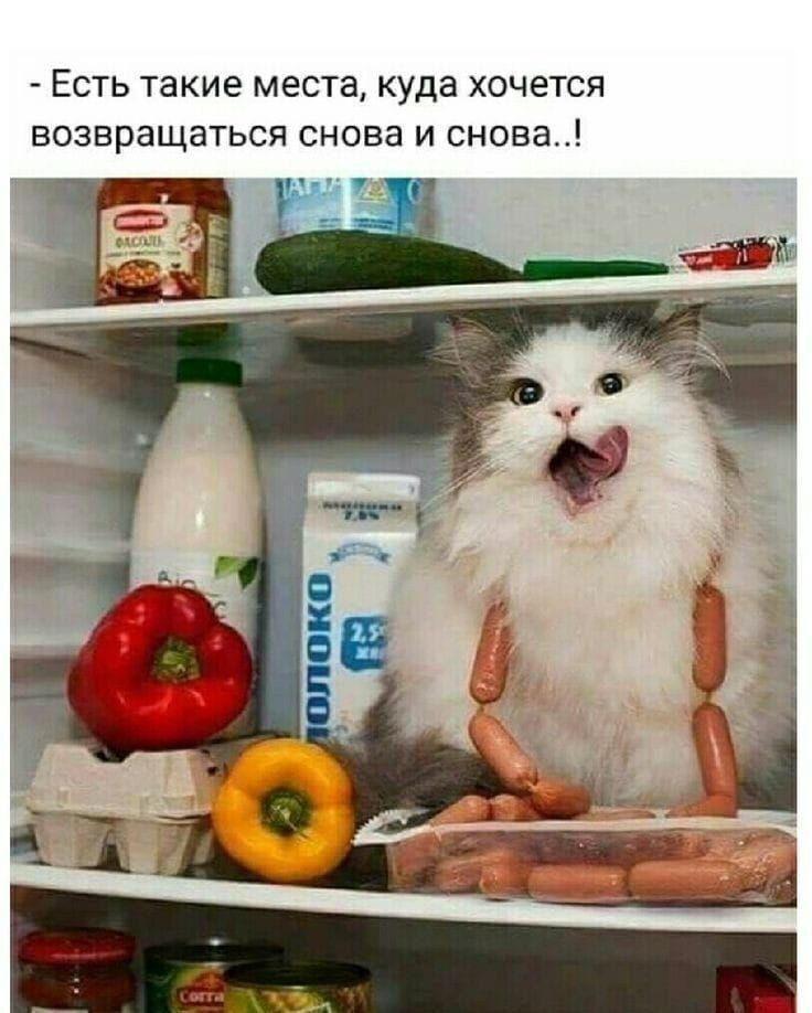 - Есть такие места, куда хочется возвращаться снова и снова..!