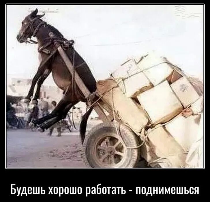 Будешь хорошо работать - поднимешься