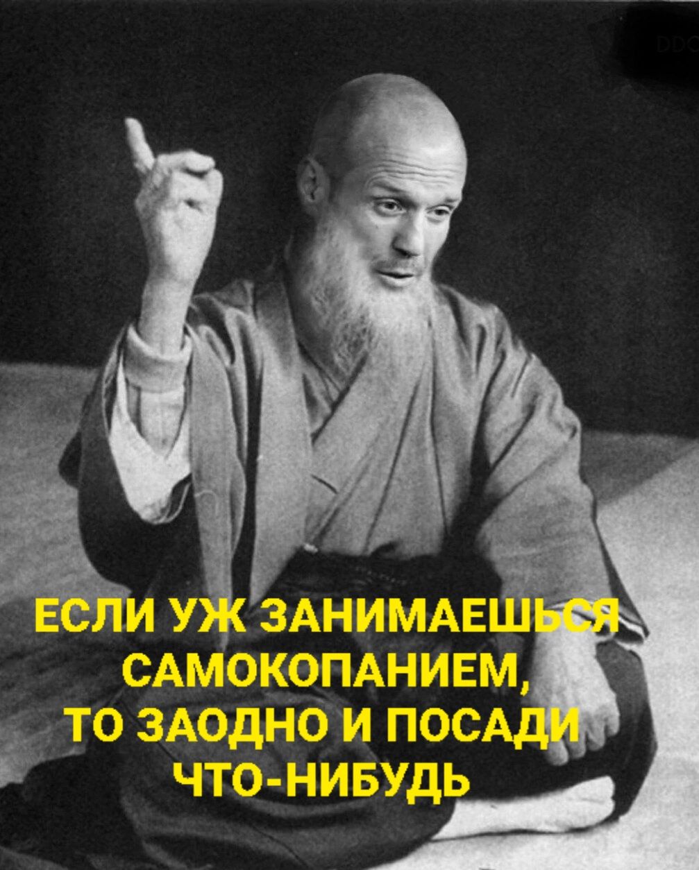 ЕСЛИ УЖ ЗАНИМАЕШЬСЯ САМокОПАНИЕМ, ТО ЗАОДНО И ПОСАДИ ЧТО-НИБУДЬ