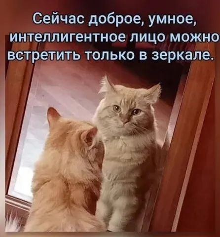 Сейчас доброе, умное, интеллигентное лицо можно встретить только в зеркале.